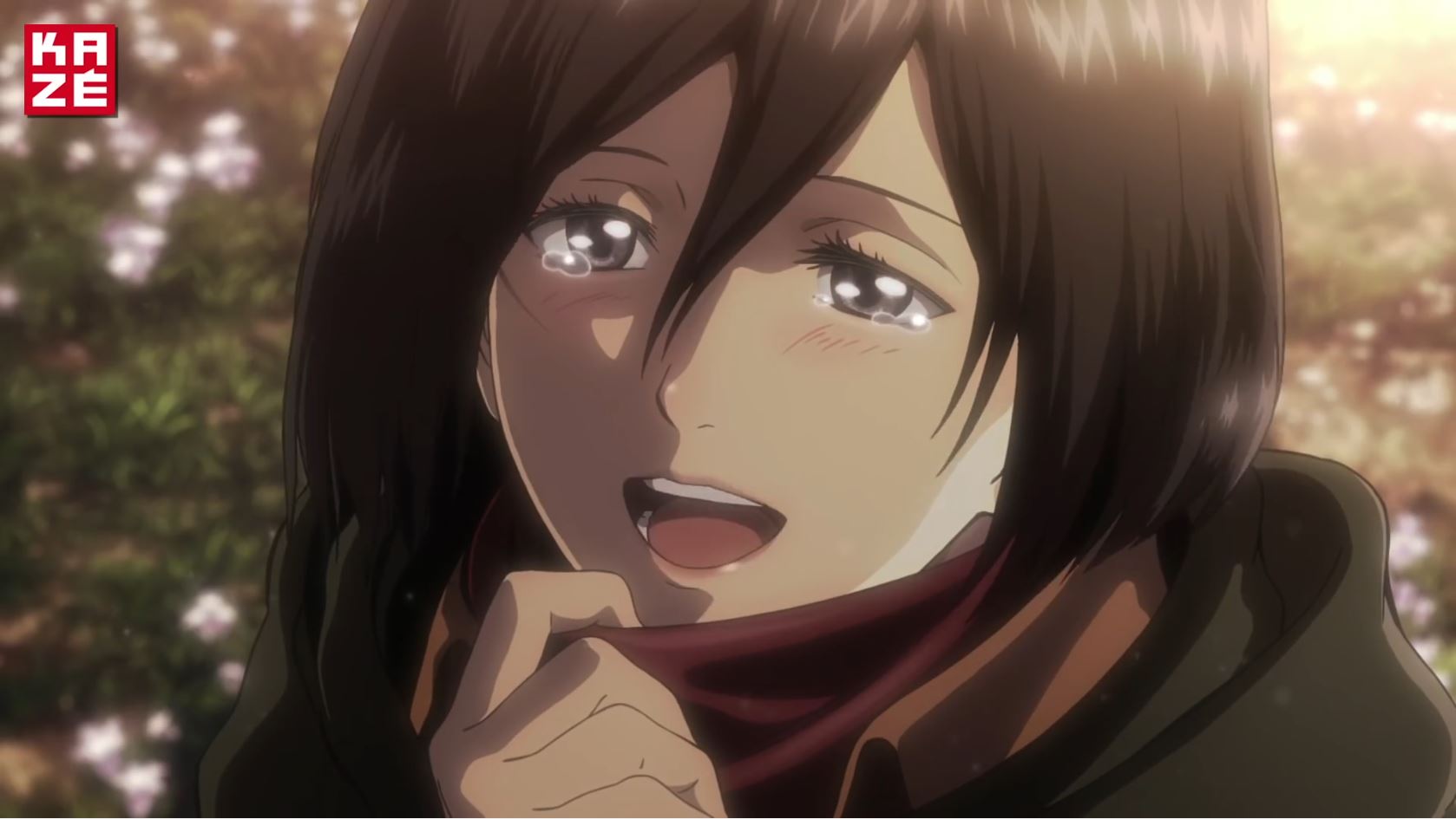 Attack On Titan Gebrüll Des Erwachens